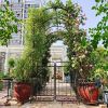Metal Garden Arch with Gate 79.5'' Wide x 86.6'' High Climbing Plants Support Rose Arch Outdoor Black