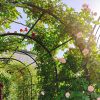 Metal Garden Arch with Gate 79.5'' Wide x 86.6'' High Climbing Plants Support Rose Arch Outdoor Black